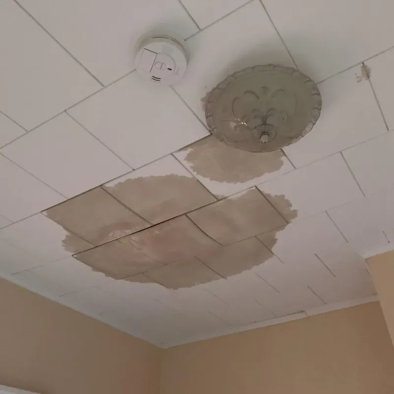 Ceiling Water Damage Repair in Calhoun County, FL