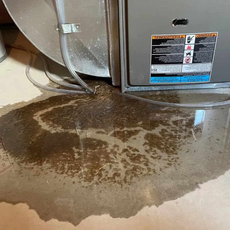 Pipe Burst and Leak Restoration in Calhoun County, FL